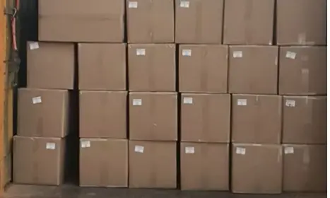 Sea Freight from Shenzhen china to Port of Los Angeles, POLA