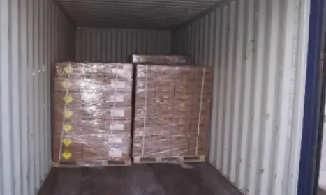 Sea Freight from Shenzhen china to Port of New York & New Jersey